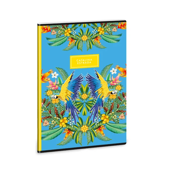 Ars Una: Catalina Estrada Araratiti extra kapcsos A/4-es 4.osztályos vonalas füzet