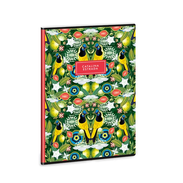 Ars Una: Catalina Estrada Carriqui extra kapcsos A/4-es 4.osztályos vonalas füzet