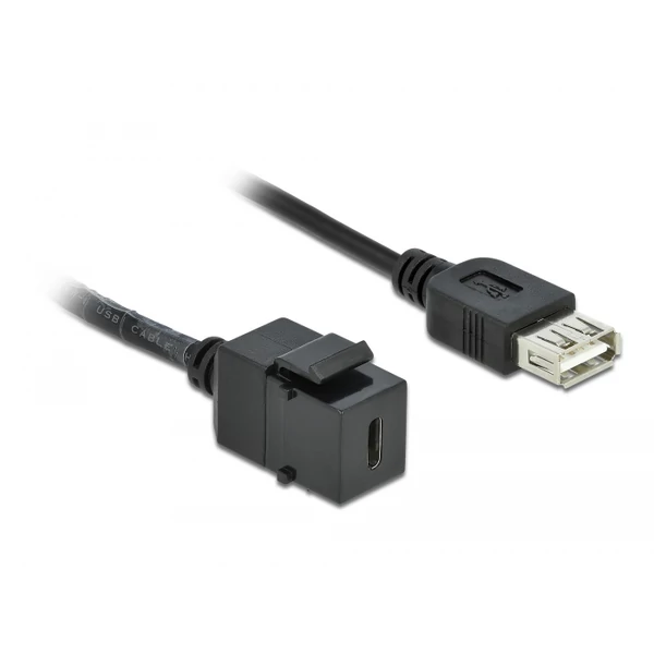 Delock Keystone modul, USB 2.0 C-csatlakozóhüvely > USB 2.0 A-csatlakozóhüvely, kábellel