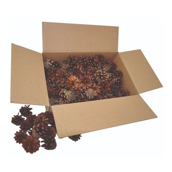 PlayBox: Fenyő toboz szett 125db-os