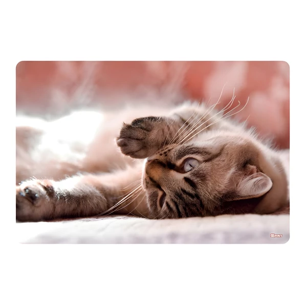 Spirit: Little Cat asztali könyöklő 60x40cm
