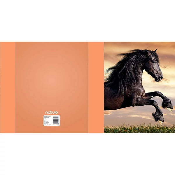 Nebulo: Füzetbox A/5-ös méret Fekete ló