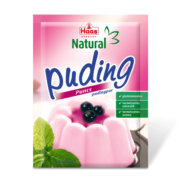 Haas puding puncs glm 40g