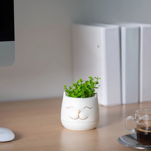 Művirág cicás kaspóban 3 féle változatban 9x14cm 11849