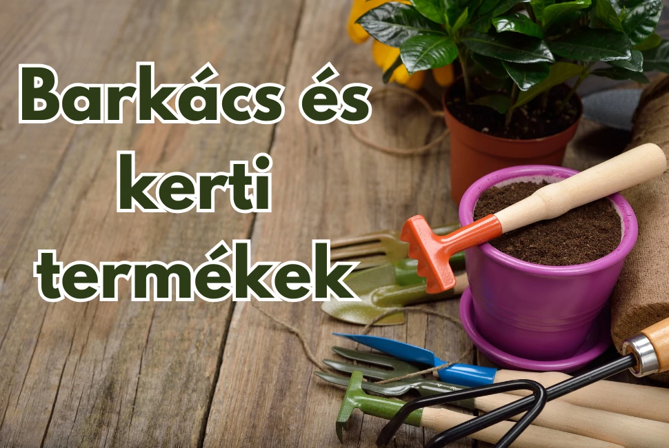 Barkács és kert