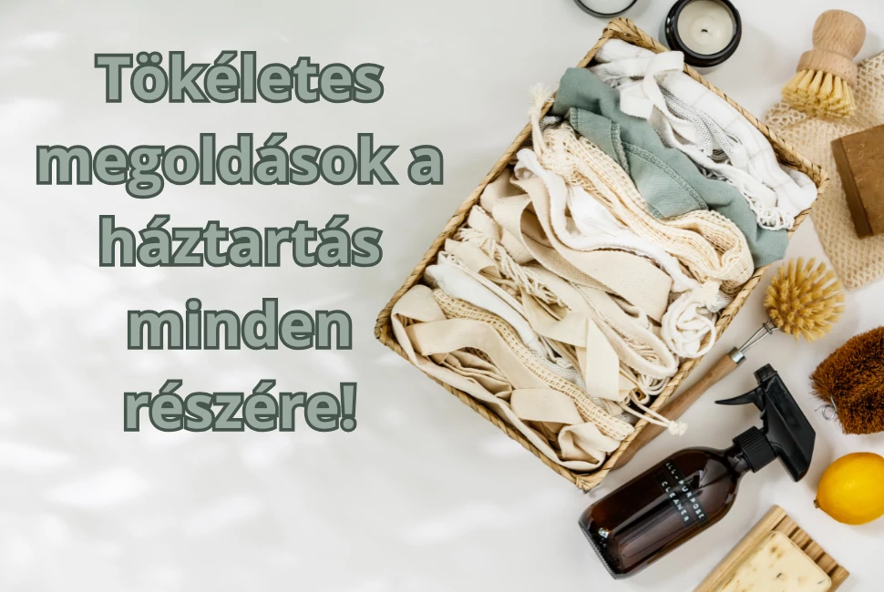 Háztartás