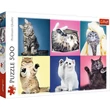 Kép 1/2 - Cicák 500db-os puzzle - Trefl