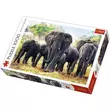 Afrikai elefántok 1000db-os prémium puzzle - Trefl