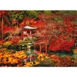 Kép 2/2 - Mesés kelet HQC 500db-os puzzle - Clementoni