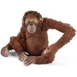Kép 2/5 - Schleich: Wild Life - Ázsia állatai kezdő 4db-os figura szett (42736)