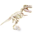 Kép 3/3 - Science & Play: T-Rex fluoreszkáló régészeti készlet - Clementoni