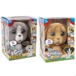 Kép 1/3 - Cry Pets: Pityergő kiskutya kétféle változatban