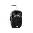 Kép 4/10 - Thunder ACCU-15 (15") 800W akkumulátoros hordozható hangfal (2xMik + MP3 + Bluetooth + FM)