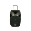 Kép 5/10 - Thunder ACCU-15 (15") 800W akkumulátoros hordozható hangfal (2xMik + MP3 + Bluetooth + FM)