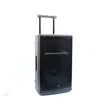 Kép 1/9 - Thunder FLR-15 (15") 800W akkumulátoros hordozható hangfal (2xMik + MP3 + Bluetooth + FM)