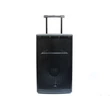 Kép 4/9 - Thunder FLR-15 (15") 800W akkumulátoros hordozható hangfal (2xMik + MP3 + Bluetooth + FM)