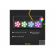 Kép 12/18 - BeamZ Dj Bank 244 RGBW fényeffekt