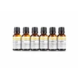 Kép 4/7 - BeamZ FSMA-C füstfolyadék illatanyag ampulla (20 ml) - KÓKUSZ