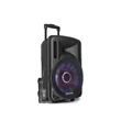 Kép 1/16 - Fenton FT12LED (12") 700W akkumulátoros hordozható hangfal (1xMik + MP3 + Bluetooth)