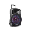 Kép 1/16 - Fenton FT15LED (15") 800W akkumulátoros hordozható hangfal (1xMik + MP3 + Bluetooth)