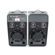 Kép 3/7 - ReVoLuTioN DPX-10BT-LED (v.3) 2x600W (10") aktív karaoke hangfal szett (MP3 + Bluetooth)