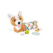 Kép 5/5 - Fischer-Price: Corgie Puppy Nőj velem pocakpárna csörgővel, rágókával és tükörrel - Mattel