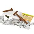Kép 2/4 - Science&Play: Archeofun Világító T-rex és Triceratops régész szett - Clementoni