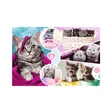 Kép 2/2 - Cuki cicák puzzle 160db-os - Trefl