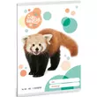 Ars Una: Cuki állatok - Vörös panda 2. osztályos vonalas füzet 32 lapos A/5