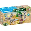 Playmobil: Wiltopia Állatfotózás (71295)