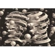 Kép 2/2 - Novo Art: M. C. Escher - Az egység köteléke (Bond of Union) 1000 db-os puzzle - Clementoni