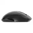 TARGUS Mice / Antimicrobial Ergo Wireless Mouse