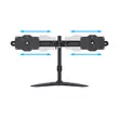 MULTIBRACKETS Asztali állvány (2 képernyős rögzítőkar), M VESA Desktopmount Dual Stand 24-32" (max.VESA: 200x100 mm)