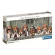 Beagle kutyusok 1000db-os panoráma puzzle 98x33cm - Clementoni