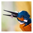 Kép 7/8 - LEGO® Icons: Jégmadár (10331)