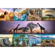 Kép 2/2 - Afrika kollázs 1000db-os HQ puzzle kirakó - Trefl