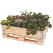 Kép 3/4 - PlayBox: Raklap láda fából 18x28x8,65cm