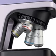 Kép 13/23 - MAGUS Bio DH240 biológiai digitális mikroszkóp - 83478