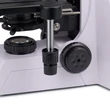 Kép 15/19 - MAGUS Bio DH260 biológiai digitális mikroszkóp - 83480