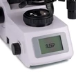 Kép 18/19 - MAGUS Bio DH260 biológiai digitális mikroszkóp - 83480