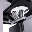 Kép 13/19 - MAGUS Bio V350 biológiai fordított mikroszkóp - 82907