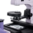 Kép 15/19 - MAGUS Bio V350 biológiai fordított mikroszkóp - 82907