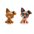 Kép 3/4 - Washy Friends: Color Reveal pancsoló 3 kutyus figura jacuzzival és kiegészítőkkel