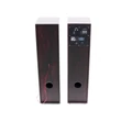 Kép 5/8 - Thunder HK-260A 200W 2x6|5" Aktív hifi torony hangfalpár (Optika| Bluetooth)
