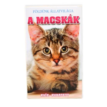 Macskák kvartett kártya