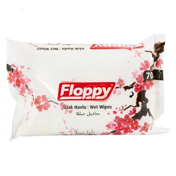 Floppy popsitörlő 70db