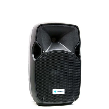 Thunder DXA-12 300/600W (12") aktív hangfal
