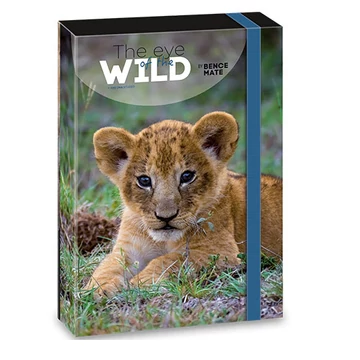 Ars Una: Máté Bence The Eyes of the Wild - Oroszlán füzetbox A/4