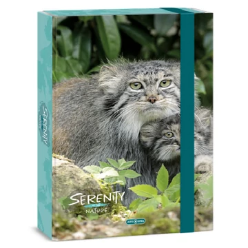 Ars Una: Serenity Manul A4-es füzetbox 4cm-es gerincvastagsággal