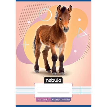 Nebulo: Paci mintás 4.osztályos vonalas füzet A/5 21-32